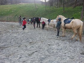 20150312_170409.jpg