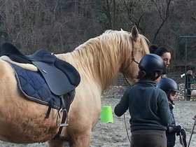 20150312_170534.jpg