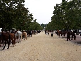 20150927_141603.jpg