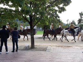 20150927_154821.jpg