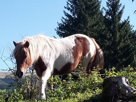 20150920_101717.jpg