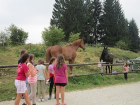 IMG_5226.JPG