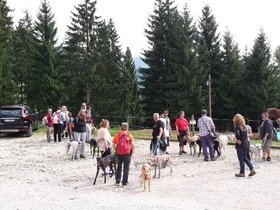 20150823_103454.jpg