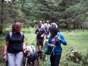 20150823_111626.jpg