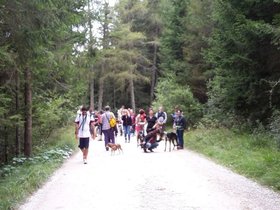 20150823_120013-.jpg