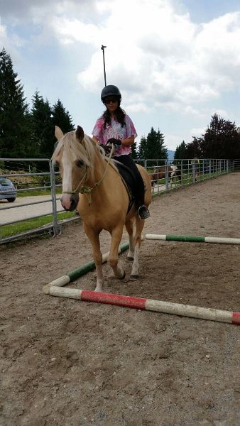 IMG-20160707-WA0016