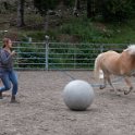 DSCF3427