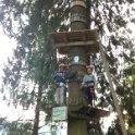 IMG-20160728-WA0049