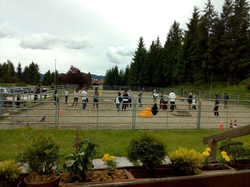 IMG-20160723-WA0022