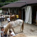 ZZZ-IMG-20160725-WA0019